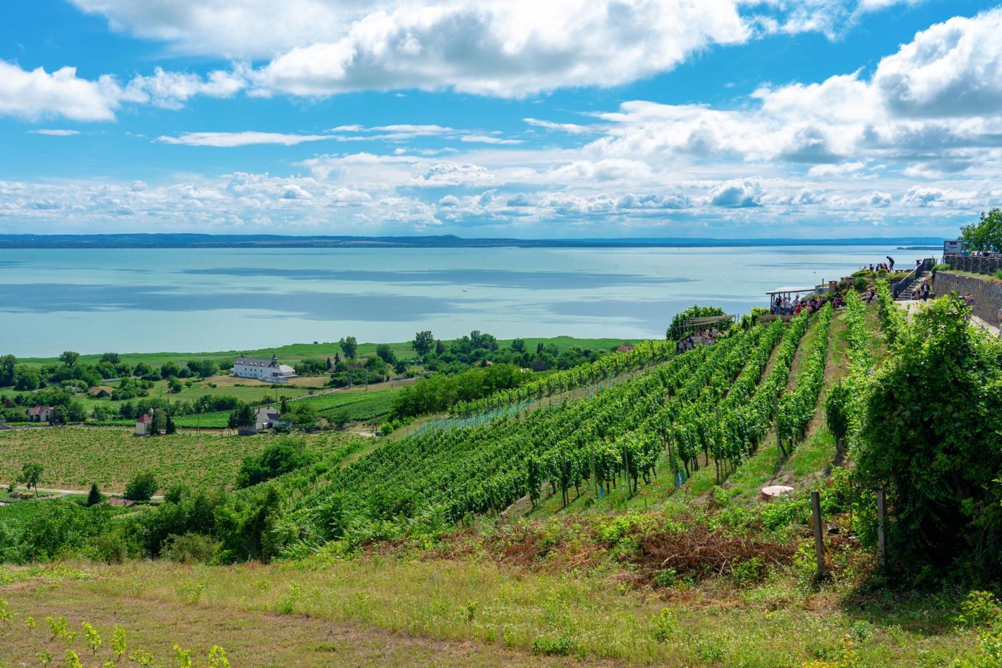 Lake Side Luxury Steps To The Lake Lela - Happy Rentals Balatonlelle Buitenkant foto